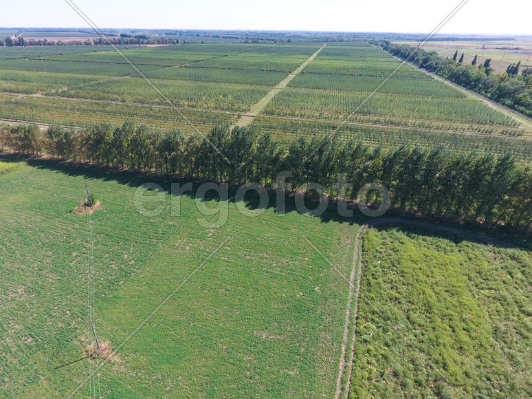 Аэросъемка. Леса среди полей 