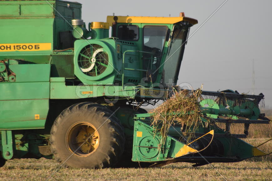 Soy harvesting by combines in the field. Agricultural machinery in operation.
