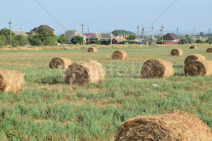 The Haystacks in the field. Summer haymaking