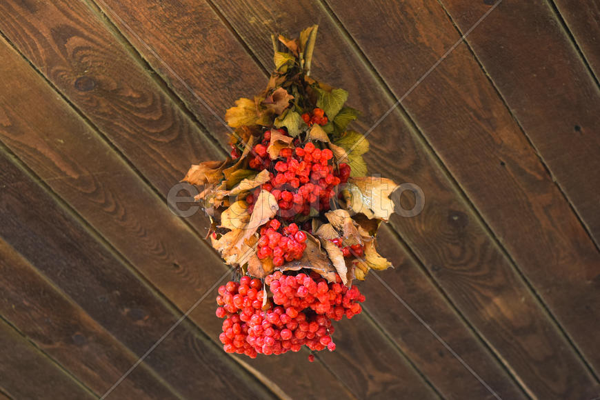 Сушка ягод калины под деревянным навесом.