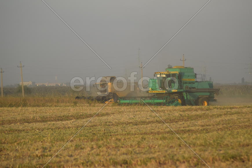 Soy harvesting by combines in the field. Agricultural machinery in operation.