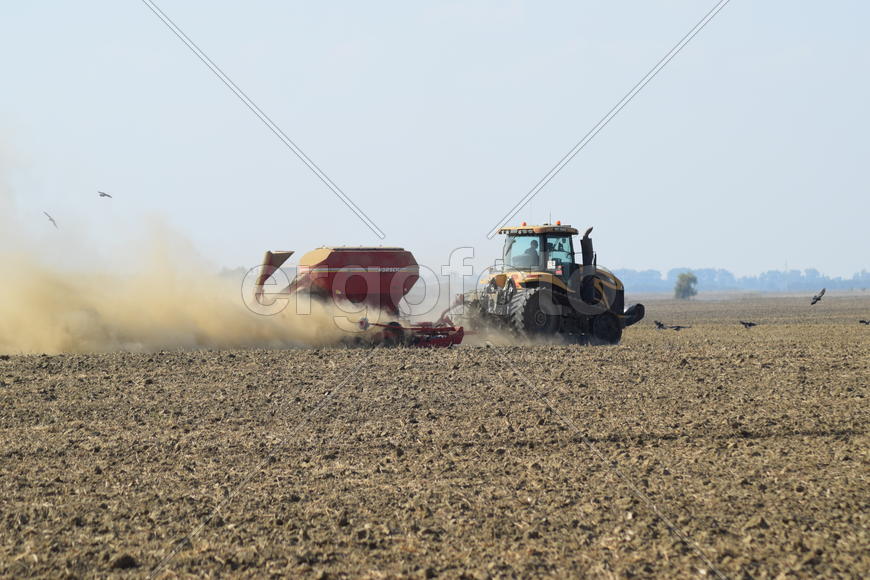 Russia, Temryuk - 19 July 2015: Tractor rides on the field and makes the fertilizer into the soil. C