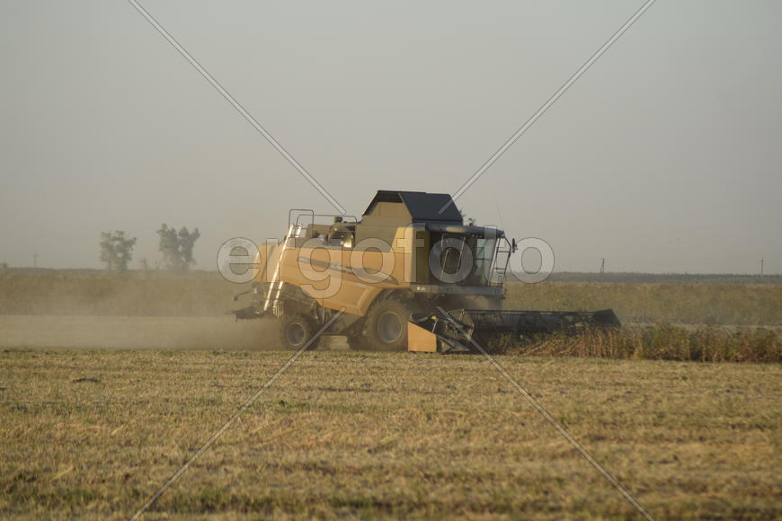 Soy harvesting by combines in the field. Agricultural machinery in operation.