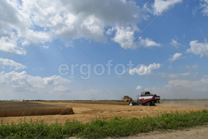 Russia, Poltavskaya village - September 6, 2015: Combine harvesters Torum. Agricultural machinery