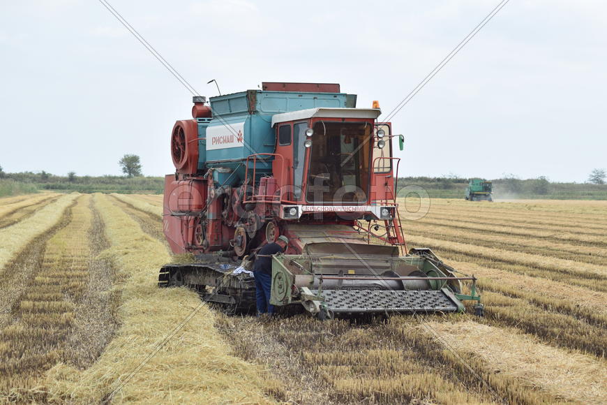 Combine harvester. Agricultural machinery for harvesting from the fields.
