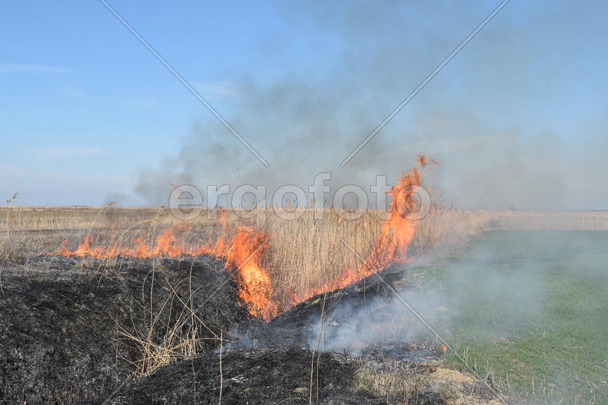 Burning dry grass and reeds. Cleaning the fields and ditches of the thickets of dry grass
