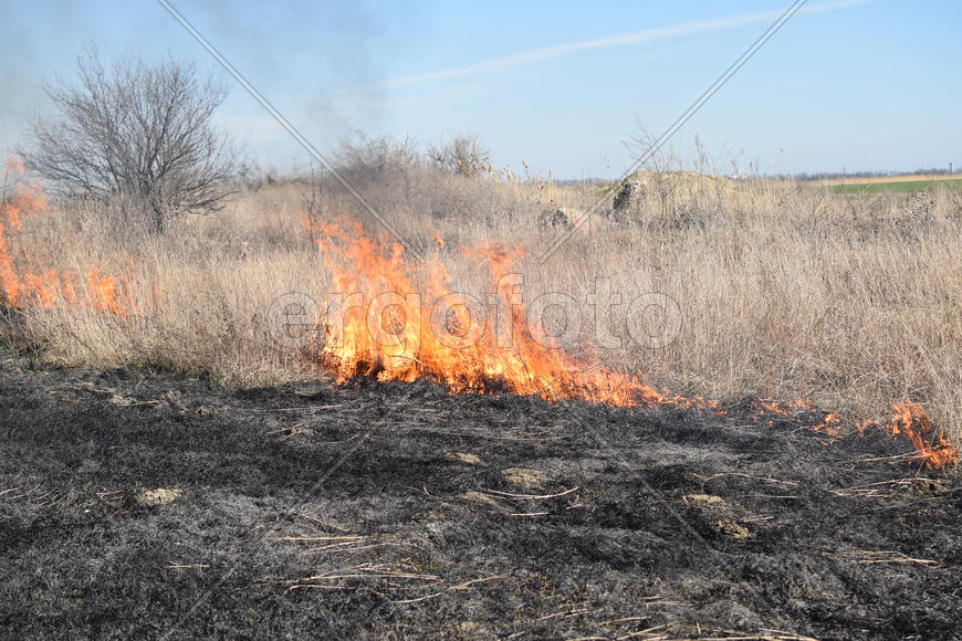 Burning dry grass and reeds. Cleaning the fields and ditches of the thickets of dry grass