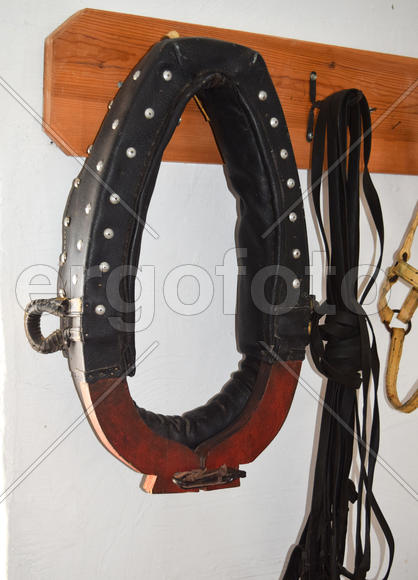 Элементы упряжи лошадей