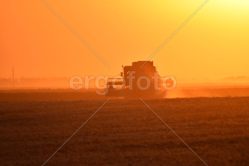 Harvesting by combines at sunset. Agricultural machinery in operation.
