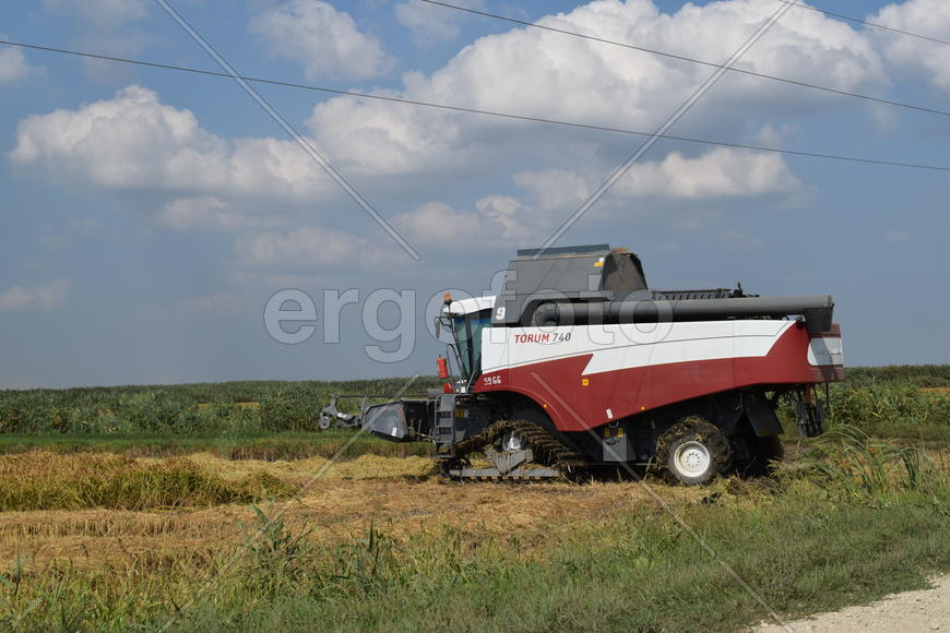 Russia, Poltavskaya village - September 6, 2015: Combine harvesters Torum. Agricultural machinery