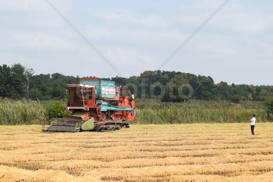Combine harvester. Agricultural machinery for harvesting from the fields.