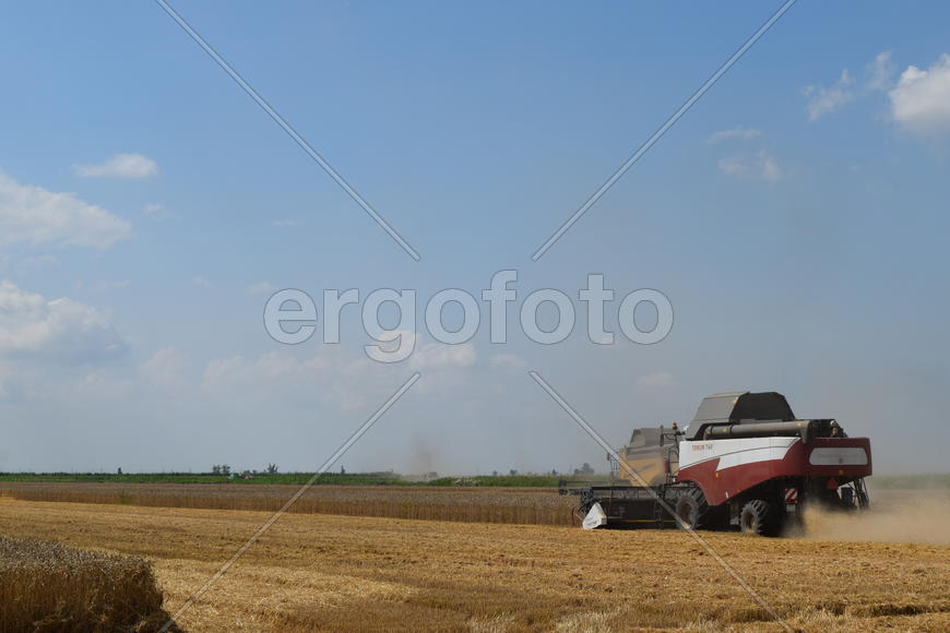 Russia, Poltavskaya village - September 6, 2015: Combine harvesters Torum. Agricultural machinery