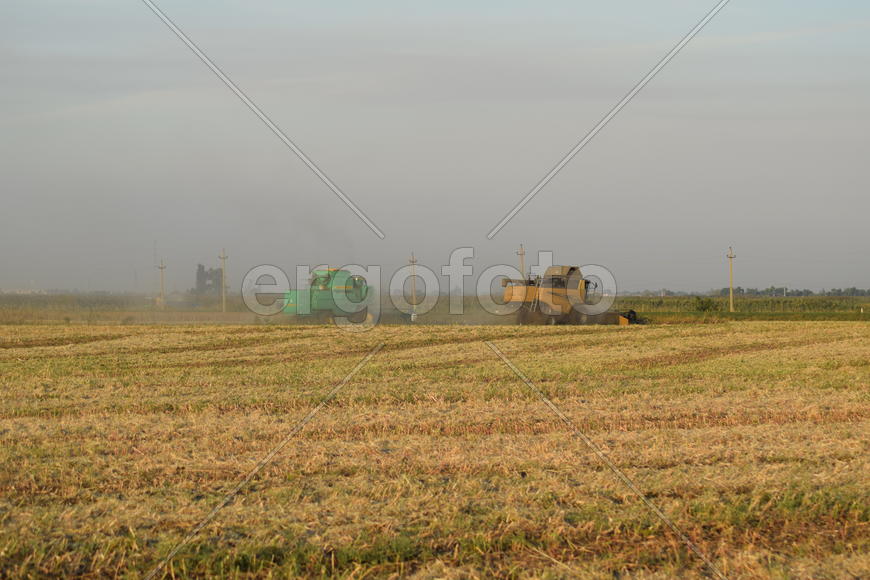 Soy harvesting by combines in the field. Agricultural machinery in operation.