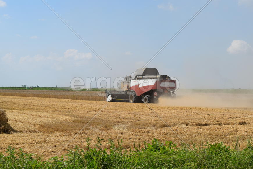 Russia, Poltavskaya village - September 6, 2015: Combine harvesters Torum. Agricultural machinery