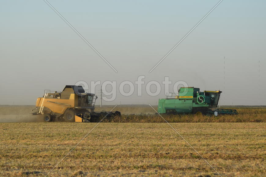 Soy harvesting by combines in the field. Agricultural machinery in operation.