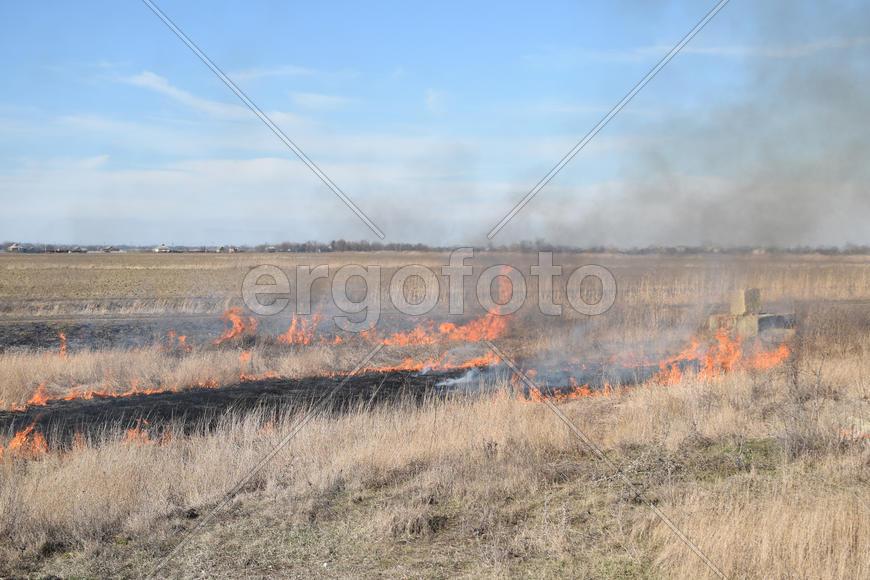 Burning dry grass and reeds. Cleaning the fields and ditches of the thickets of dry grass