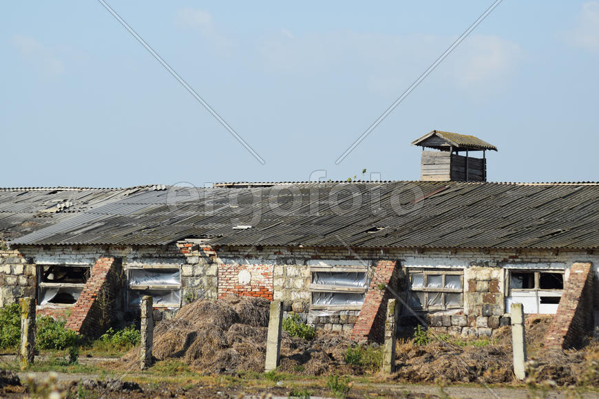 Abandoned cow farm. The ruins of the Soviet collective farms