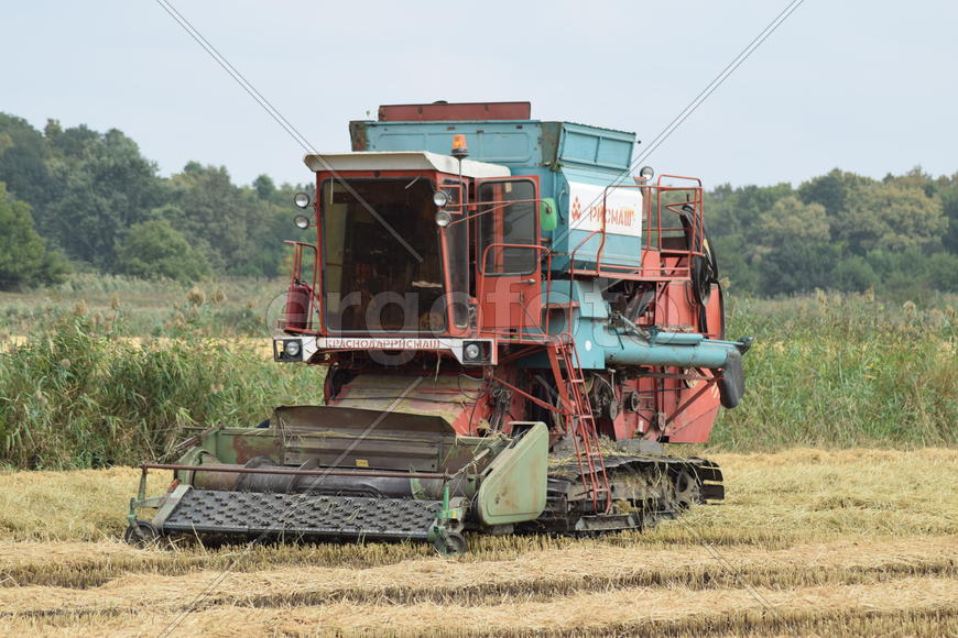 Combine harvester. Agricultural machinery for harvesting from the fields.