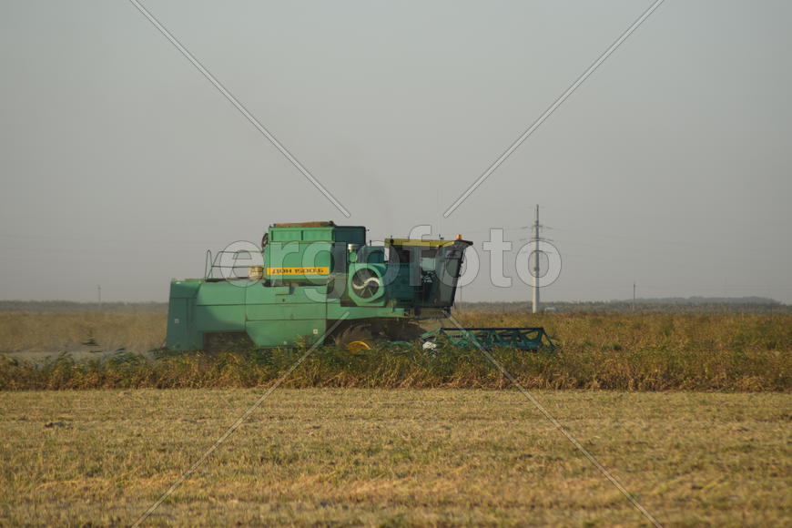 Soy harvesting by combines in the field. Agricultural machinery in operation.