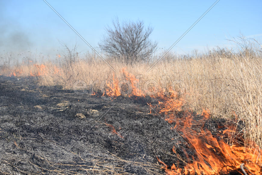 Burning dry grass and reeds. Cleaning the fields and ditches of the thickets of dry grass