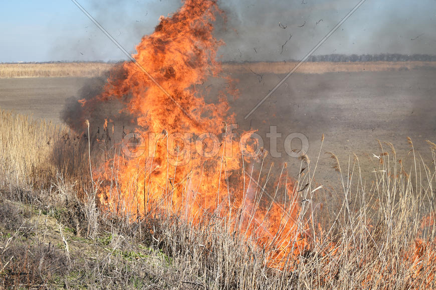 Burning dry grass and reeds. Cleaning the fields and ditches of the thickets of dry grass