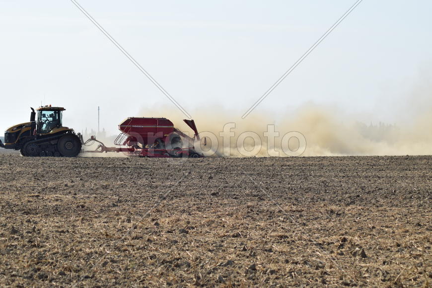 Russia, Temryuk - 19 July 2015: Tractor rides on the field and makes the fertilizer into the soil. C
