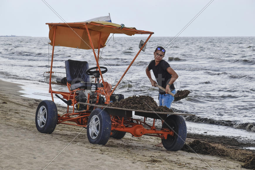 Автомобиль для сбора мусора на пляже 