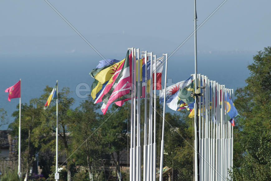 Несколько разных флагов с гербами и знаменами.