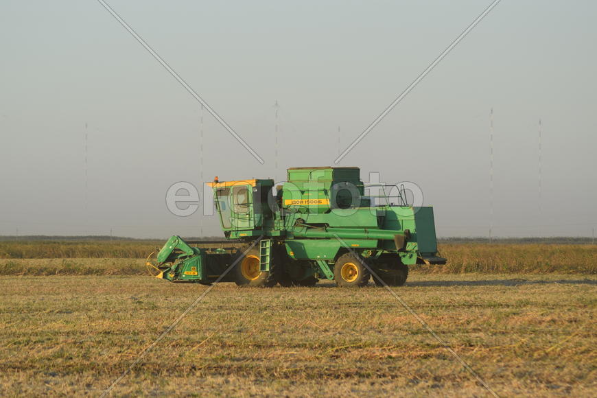 Soy harvesting by combines in the field. Agricultural machinery in operation.