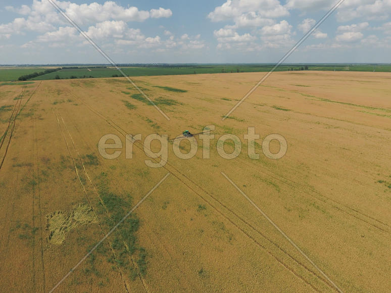 Adding herbicide tractor on the field of ripe wheat. Growing crops in the fields. View from above.