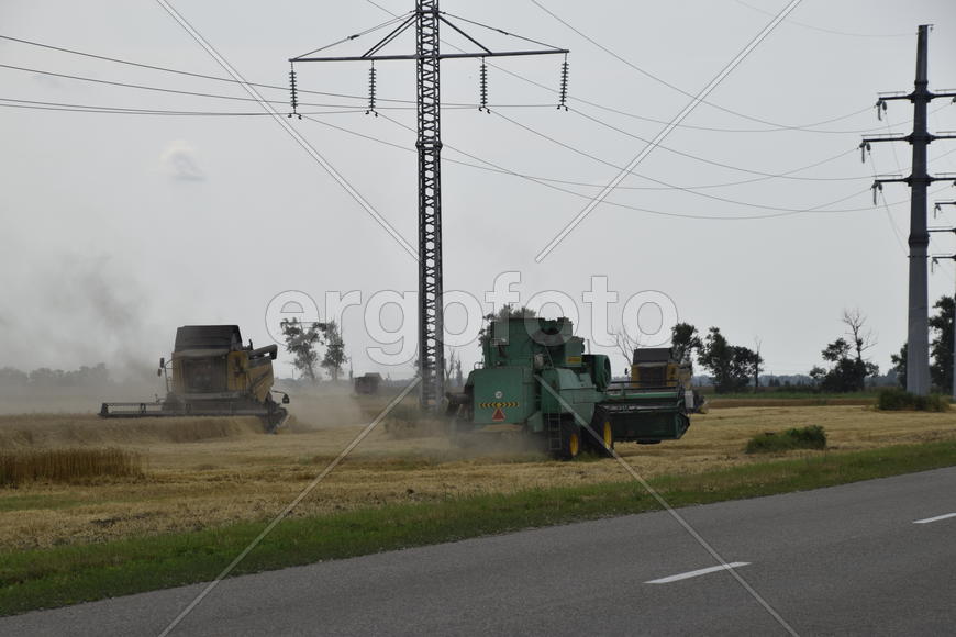 Russia, Temryuk - 01 July 2016: Kombain collects on the wheat crop. Agricultural machinery in the fi