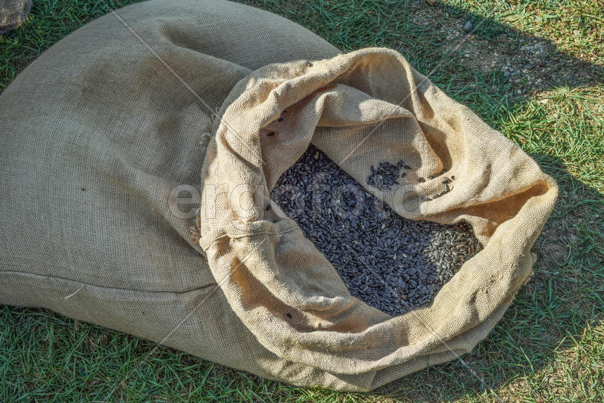 Сумка из мешковины и семян подсолнечника