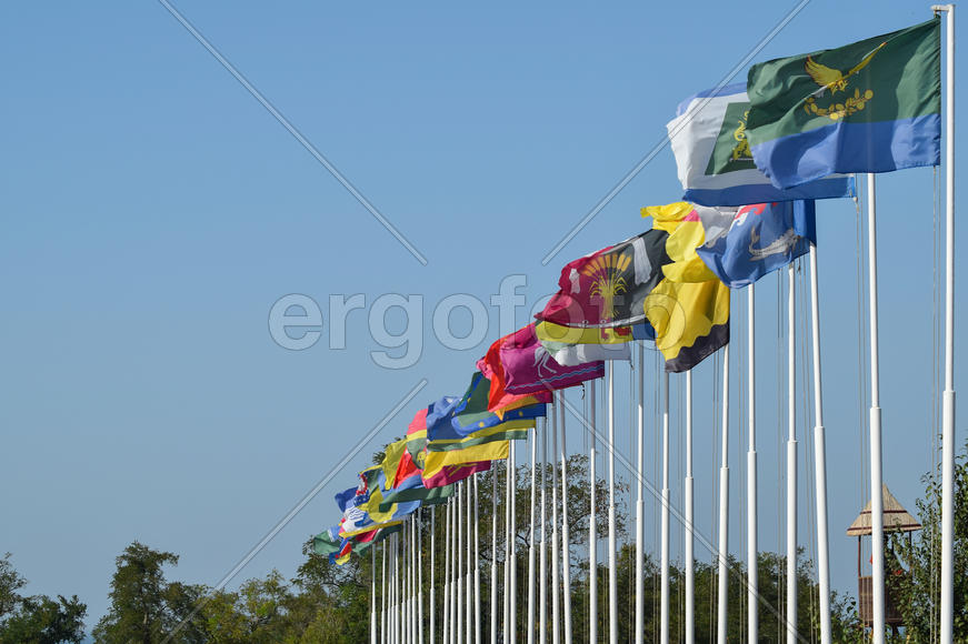 Несколько разных флагов с гербами и знаменами.