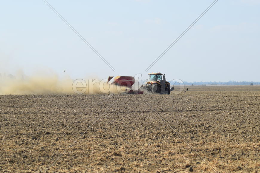 Russia, Temryuk - 19 July 2015: Tractor rides on the field and makes the fertilizer into the soil. C
