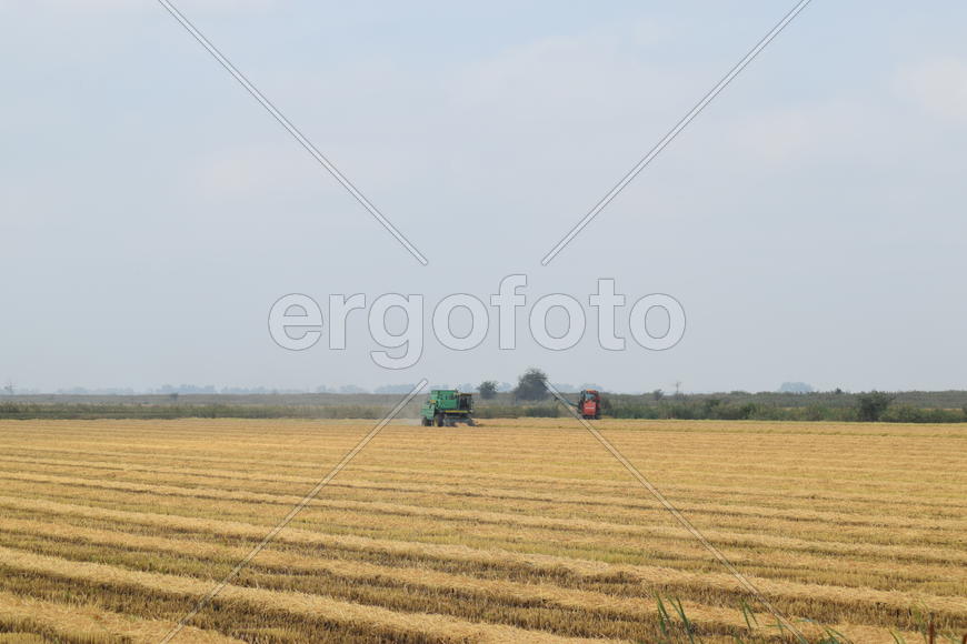 Combine harvester. Agricultural machinery for harvesting from the fields.