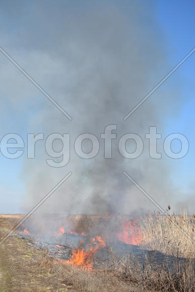 Burning dry grass and reeds. Cleaning the fields and ditches of the thickets of dry grass