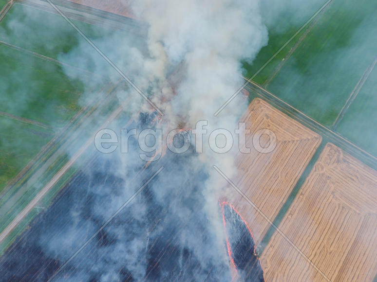 Burning straw in the fields of wheat after harvesting. The pollution of the atmosphere with smoke.