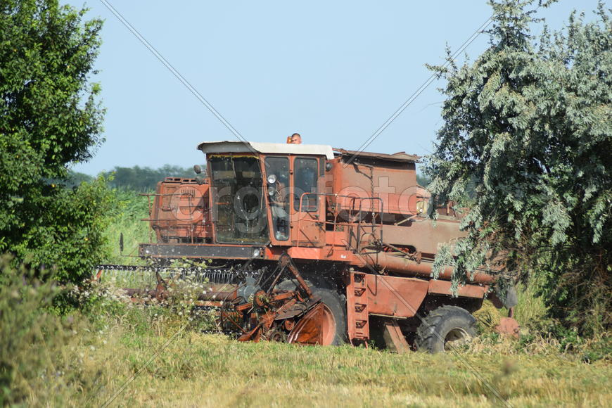 Combine harvester. Agricultural machinery for harvesting from the fields.