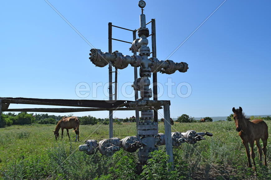 Equipment of an oil well. Shutoff valves and service equipment