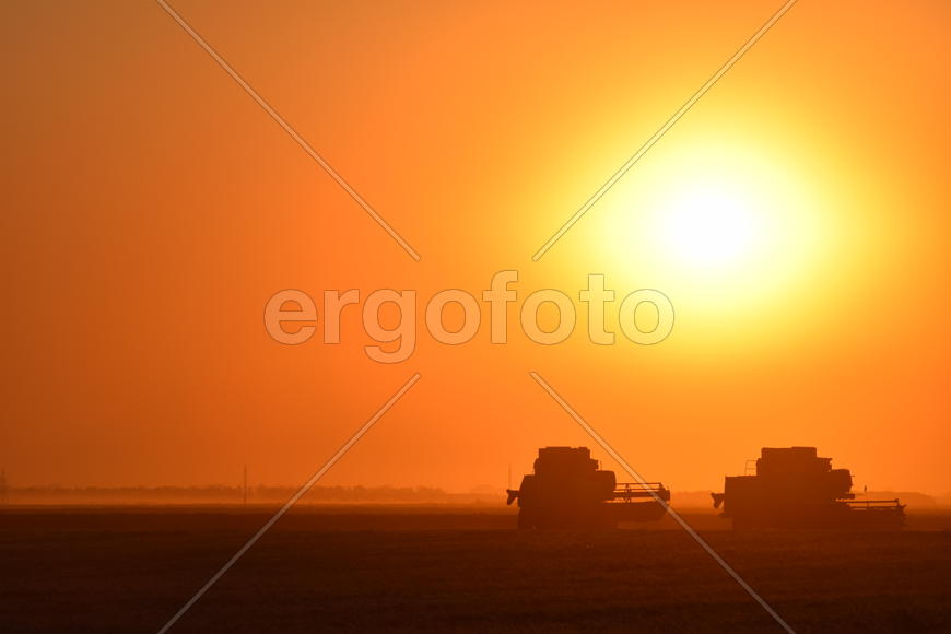 Harvesting by combines at sunset. Agricultural machinery in operation.