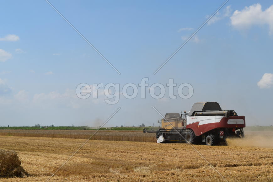 Russia, Poltavskaya village - September 6, 2015: Combine harvesters Torum. Agricultural machinery