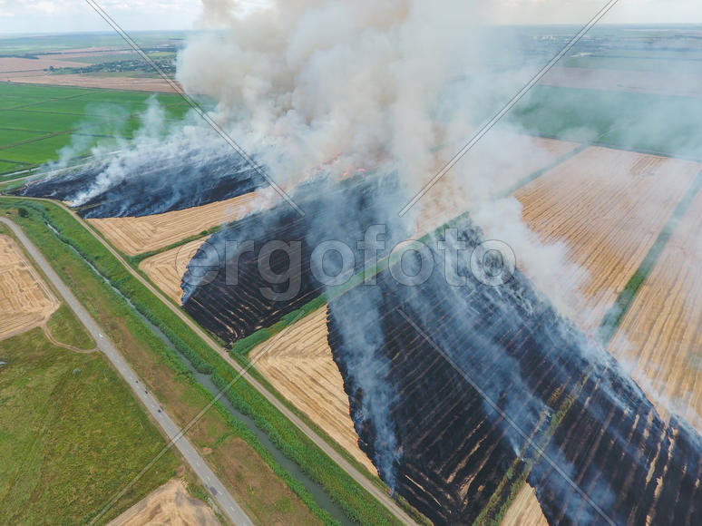 Burning straw in the fields of wheat after harvesting. The pollution of the atmosphere with smoke.