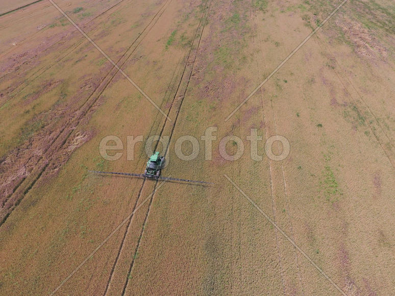 Adding herbicide tractor on the field of ripe wheat. Growing crops in the fields. View from above.