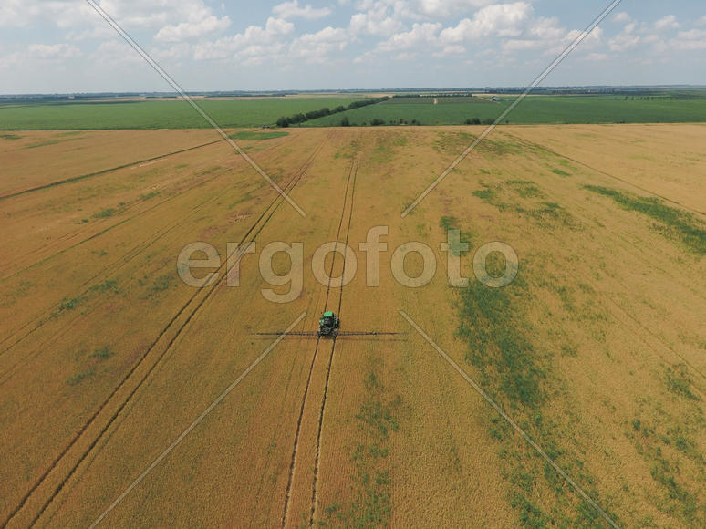 Adding herbicide tractor on the field of ripe wheat. Growing crops in the fields. View from above.