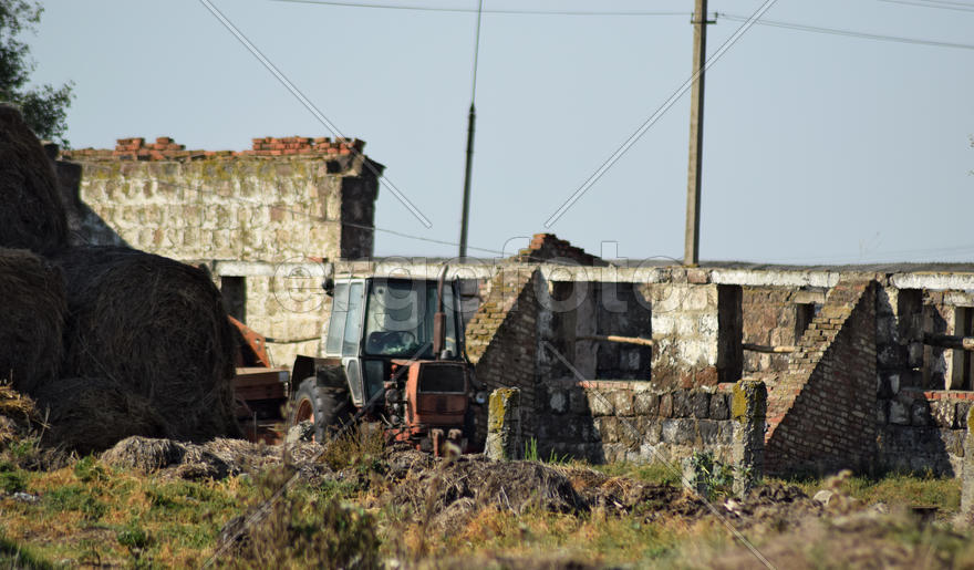 Old tractor in ruins cow farm. Abandoned cow farm