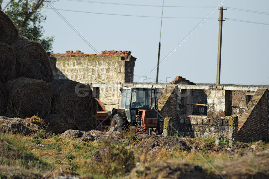 Old tractor in ruins cow farm. Abandoned cow farm