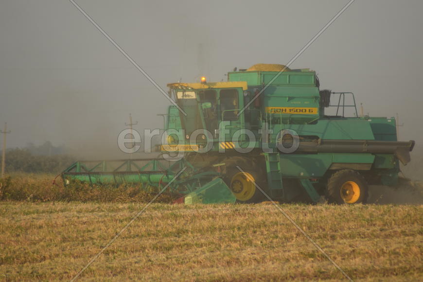 Soy harvesting by combines in the field. Agricultural machinery in operation.