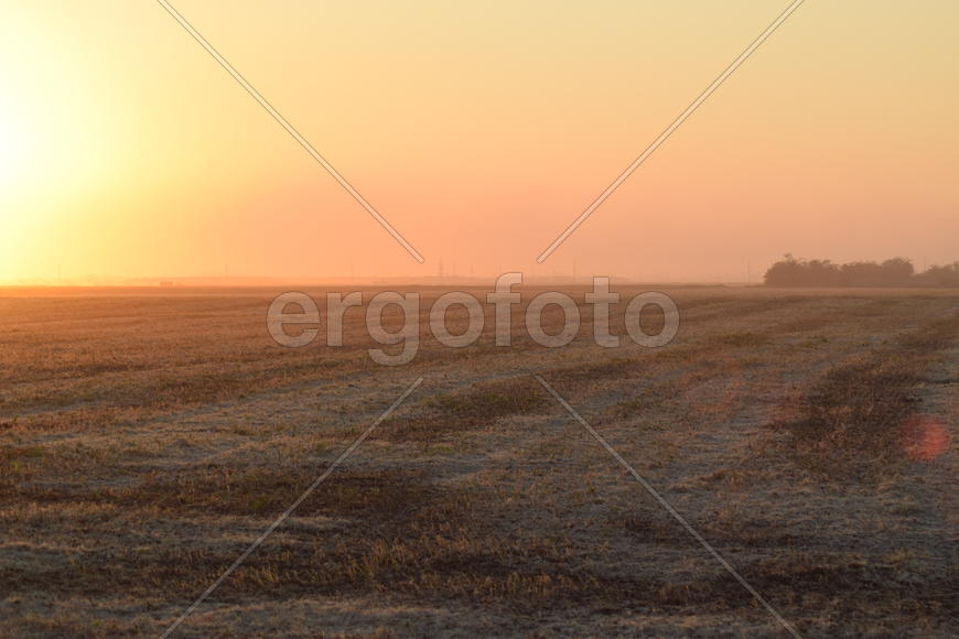 Harvesting by combines at sunset. Agricultural machinery in operation.