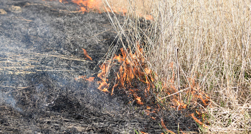 Burning dry grass and reeds. Cleaning the fields and ditches of the thickets of dry grass