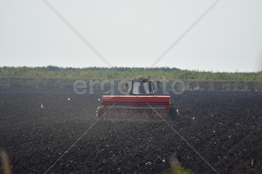 Tractor, standing in a row. Agricultural machinery. Parking of agricultural machinery.